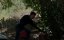 ������� ��� ����������: �������� / Criminal Minds: Evolution - 1 �����, 2 �����