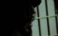  / Videotape - 
