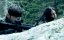  / MGS: Philanthropy - 