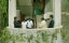 ������ ����������. �������� �����  / Tenali Ramakrishna BA.BL - �����