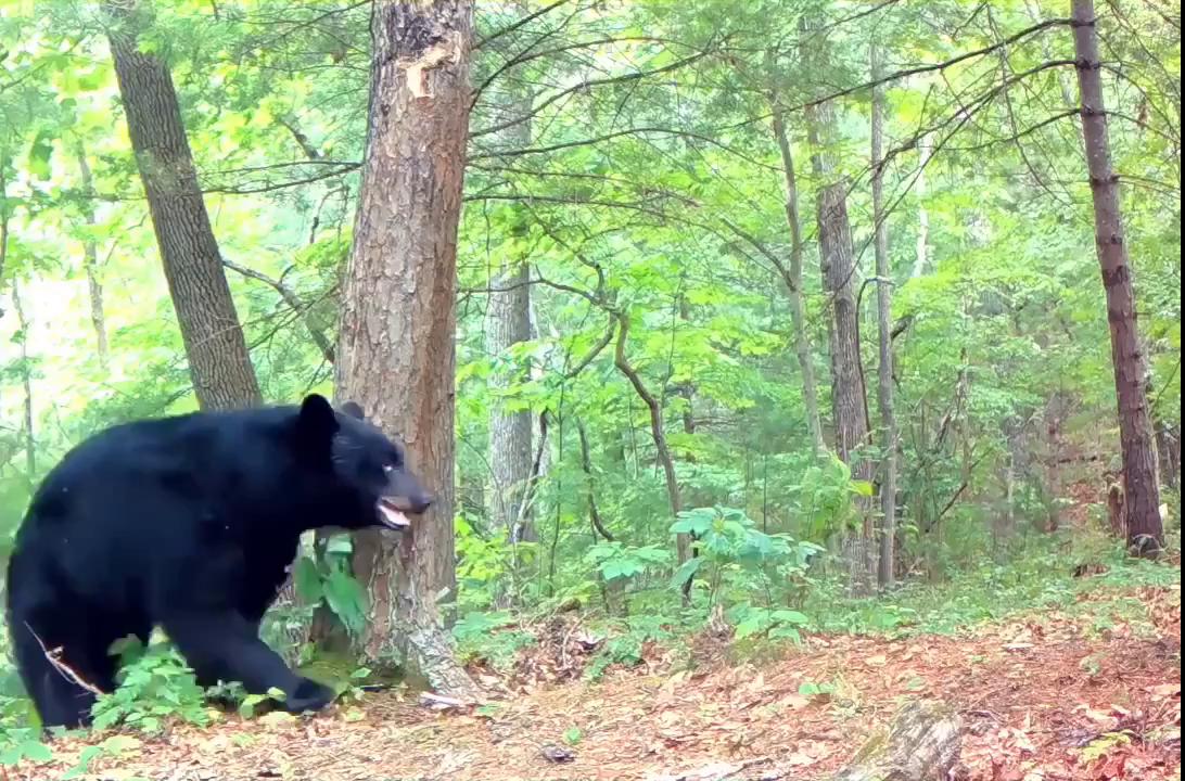 ������