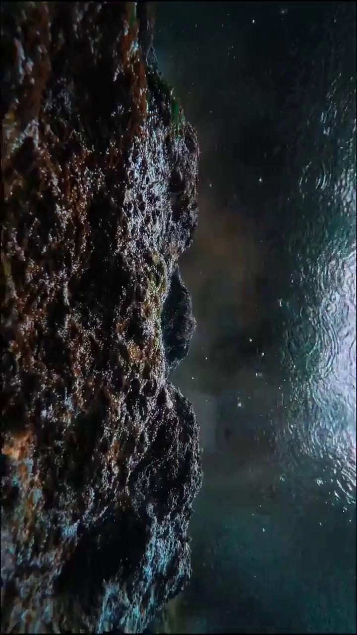 ������