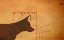 :     / Koko: A Red Dog Story - 