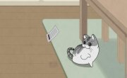    / Yoru wa Neko to Issho - 3 , 33 