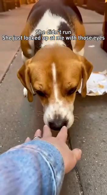 ������