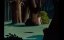 ������� ������� / Merrie Melodies & Looney Tunes - 41 ����� "�� ����� ����� ������"