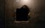  / Ashkal / Ashkal: The Tunisian Investigation - 