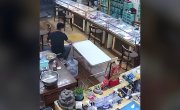 Le Zap de Cokan.fr n497