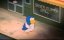 ������������ ��������: ������� ������� / Penguin's Memory - Shiawase monogatari / Penguin's Memory: A Tale of Happiness - �����