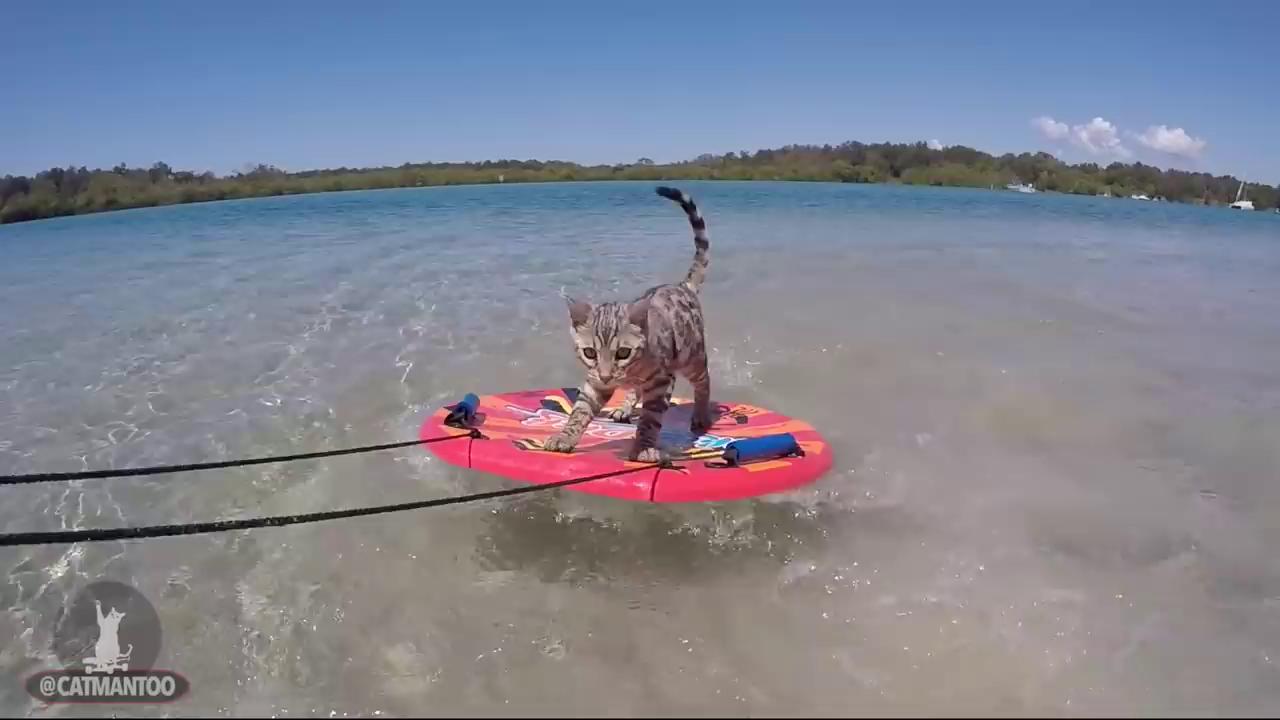 ������