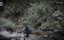  :   / Gold Rush: White Water - 5 , 15 