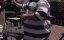    / Sins of a Scorned Wife - 