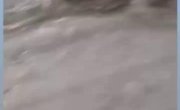 �� �� ���������...