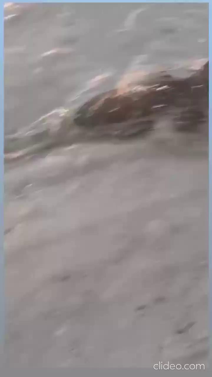 ������