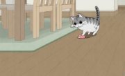    / Yoru wa Neko to Issho - 3 , 36 