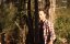   - / Terror in Woods Creek (Deadlines) - 