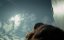   / The Roughneck - 