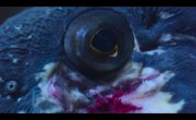 ���� ������ / Our Oceans - 1 �����, 4 �����