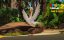 ���� � ������ 2 / Richard the Stork and the Mystery of the Great Jewel / Little Bird: The Big Quest - ������� �����