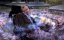 ��� ��������� ������ �� �������� �������� / Stem Cell Universe with Stephen Hawking - �������