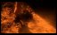  / Chrysalis - 