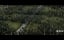 Outlaw king /    (2018) - 