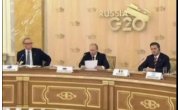  -     G20