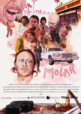 Коренной зуб / Molar