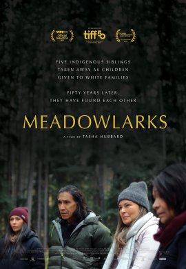 ������� ��������� / Meadowlarks