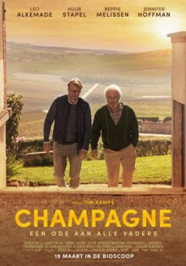Шампанское / Champagne