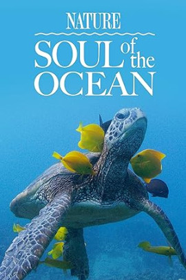 ���� ������ / Soul of the Ocean