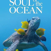 ���� ������ / Soul of the Ocean