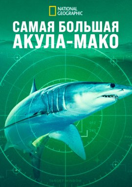 Самая большая акула-мако / World's Biggest Mako