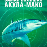 ����� ������� �����-���� / World's Biggest Mako