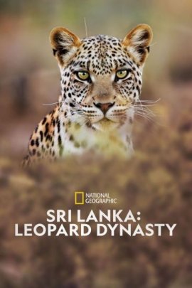 ���-�����: �������� ��������� / Sri Lanka: Leopard Dynasty