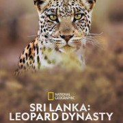 ���-�����: �������� ��������� / Sri Lanka: Leopard Dynasty