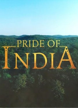 ��������� ����� / Pride of India
