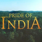 ��������� ����� / Pride of India