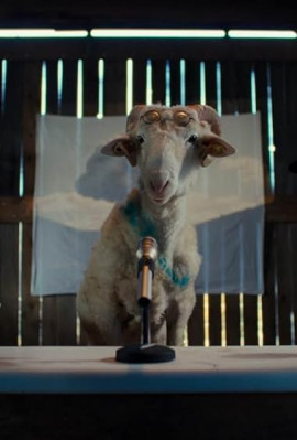 Овцы / Sheep смотреть онлайн