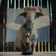 ����  / Sheep ��� �����