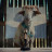 ����  / Sheep