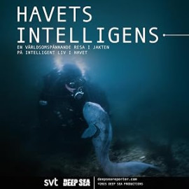 ��������� �� ������ / Ocean Intelligence