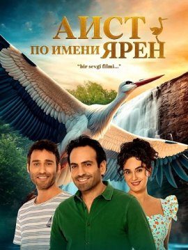 Аист по имени Ярен / Yaren Leylek
