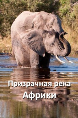 ���������� ���� ������ / Africa's Ghost River �������� ������