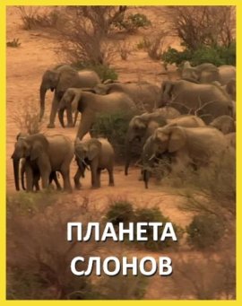 ������� ������ / Elephant Planet