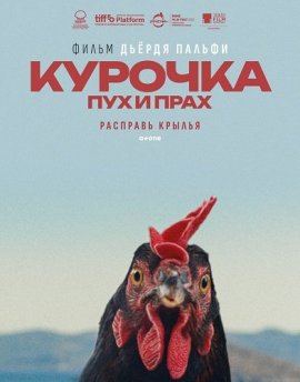 Курочка. Пух и прах / Kota / Hen