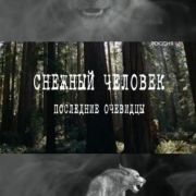 Снежный человек. Последние очевидцы