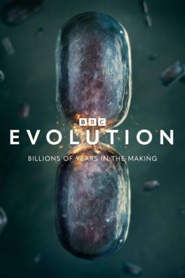 �������� / Evolution �������� ������