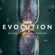 �������� / Evolution ��� �����