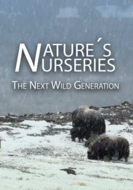����� ���� �������: ���������� ����� ��������� / Nature's Nurseries - The Next Wild Generation
